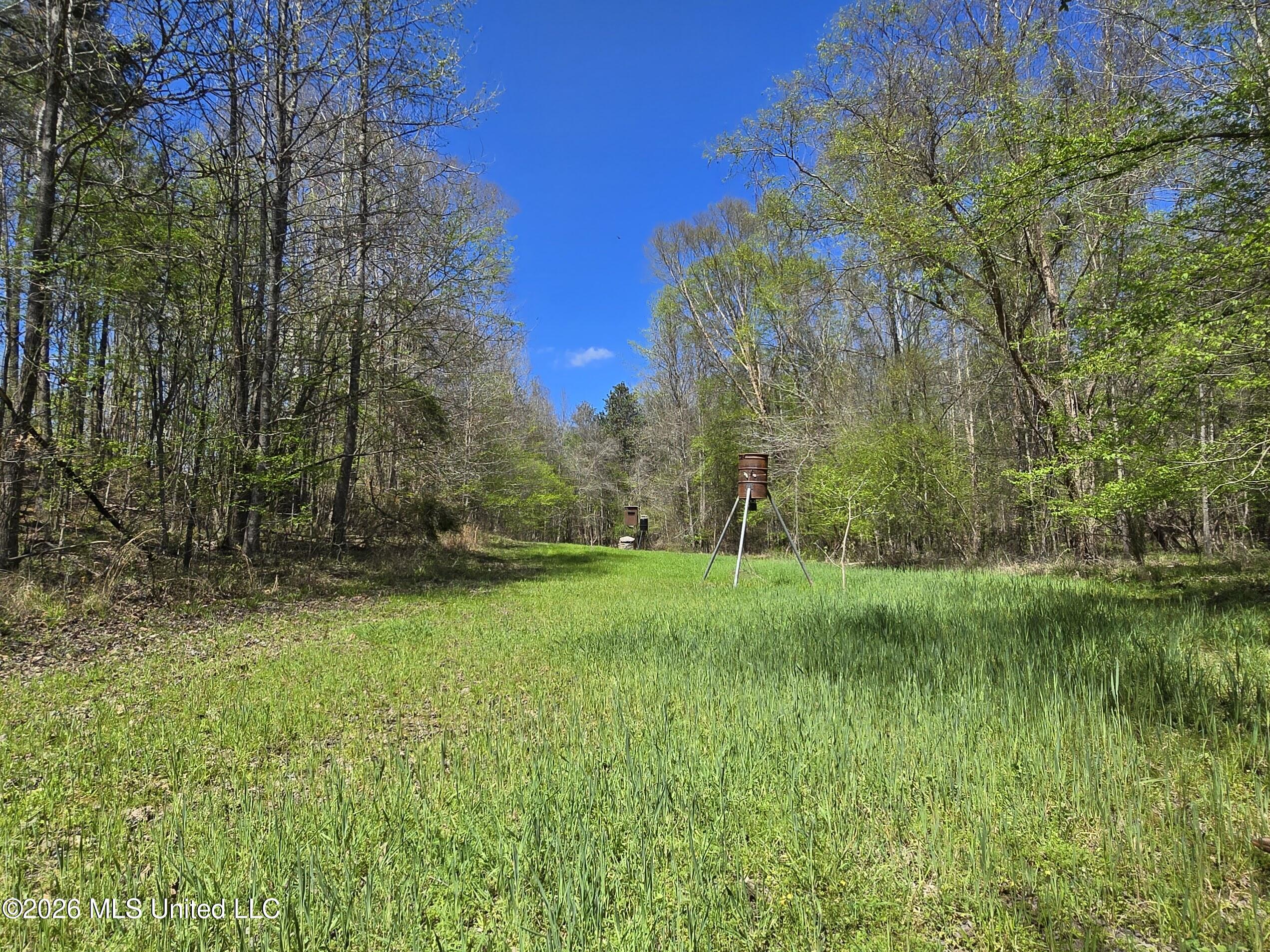 5582 White Apple Road Roxie, MS 39661 - Photo 14 of 70 20260321_140503