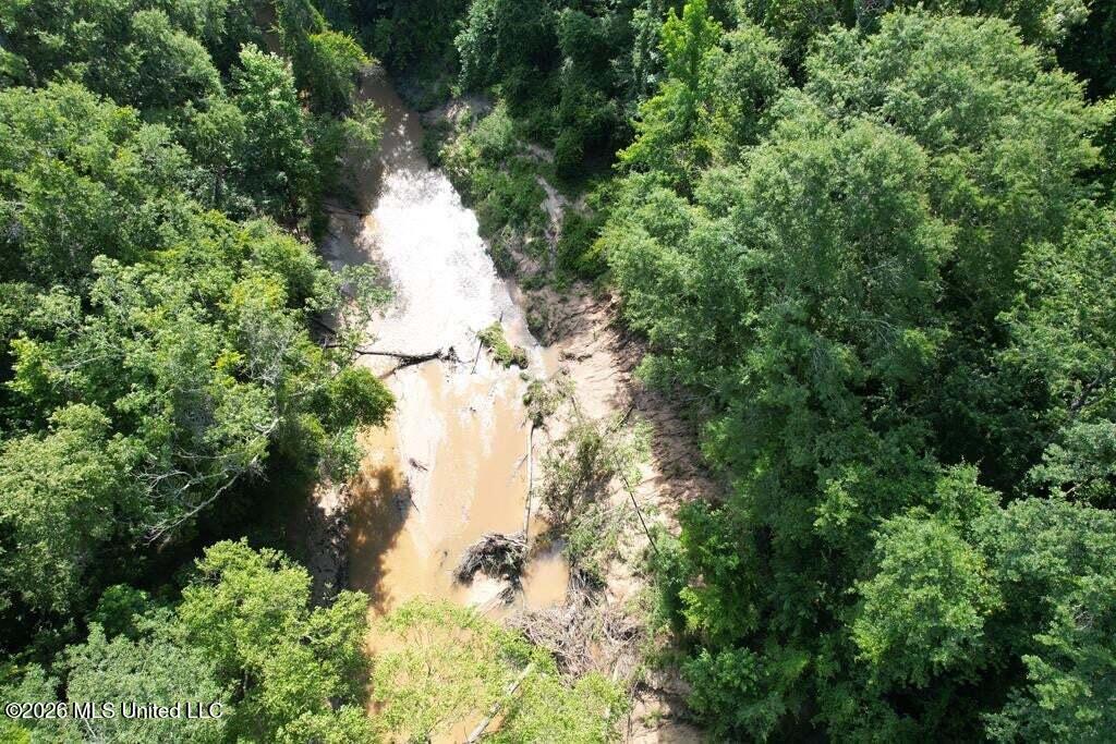 5582 White Apple Road Roxie, MS 39661 - Photo 16 of 70 20250707201705834255000000-o