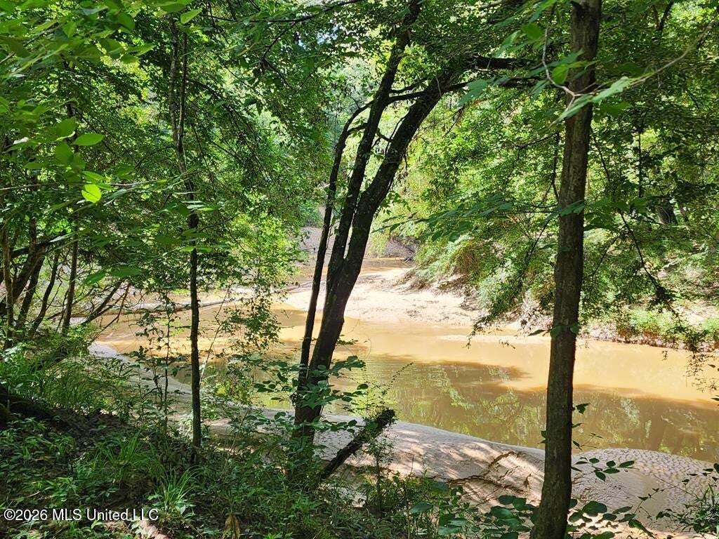 5582 White Apple Road Roxie, MS 39661 - Photo 17 of 70 20250707201707261819000000-o