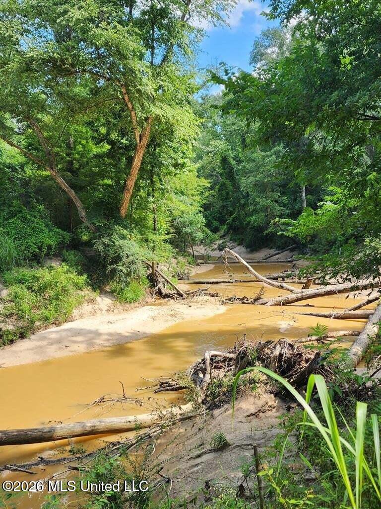 5582 White Apple Road Roxie, MS 39661 - Photo 18 of 70 20250707201707612823000000-o