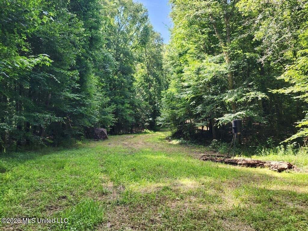 5582 White Apple Road Roxie, MS 39661 - Photo 25 of 70 20250707201715955965000000-o