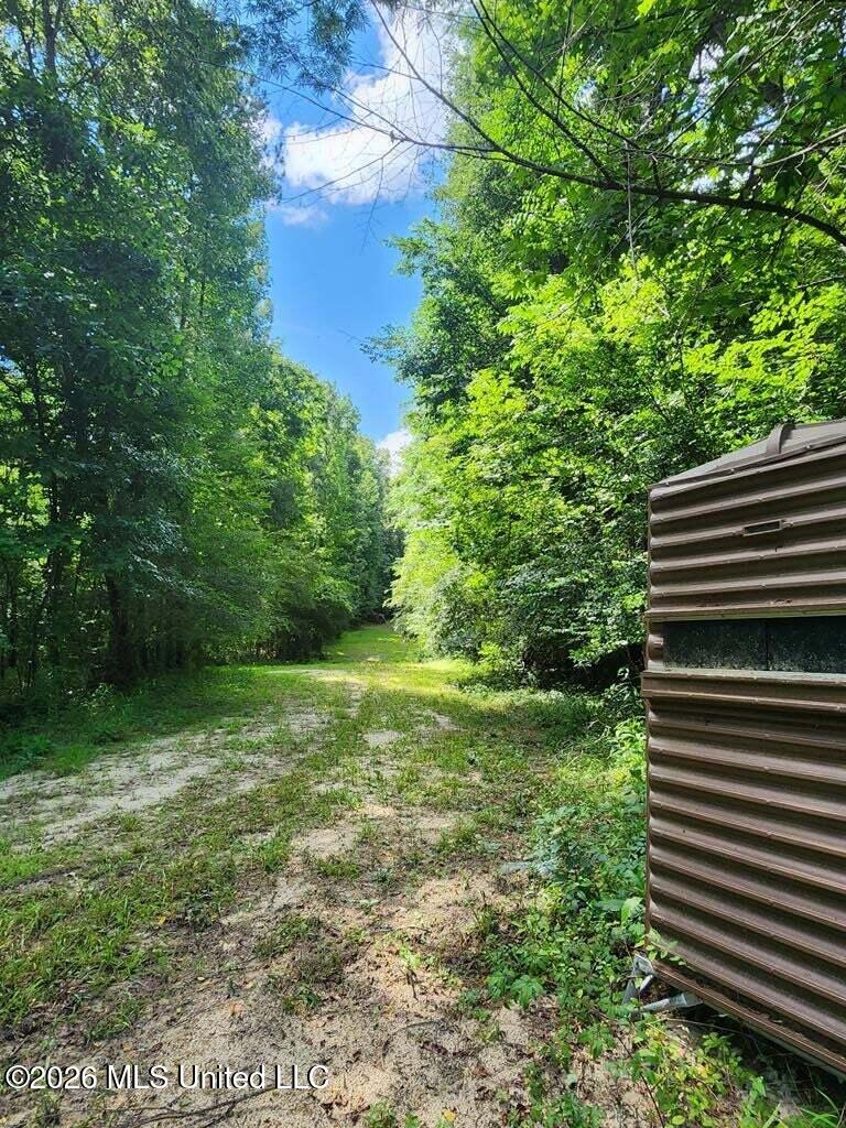 5582 White Apple Road Roxie, MS 39661 - Photo 26 of 70 20250707201716961456000000-o