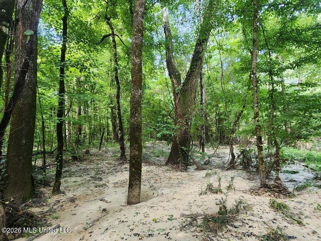 5582 White Apple Road Roxie, MS 39661 - Photo 30 of 70 20250707201719148845000000-o