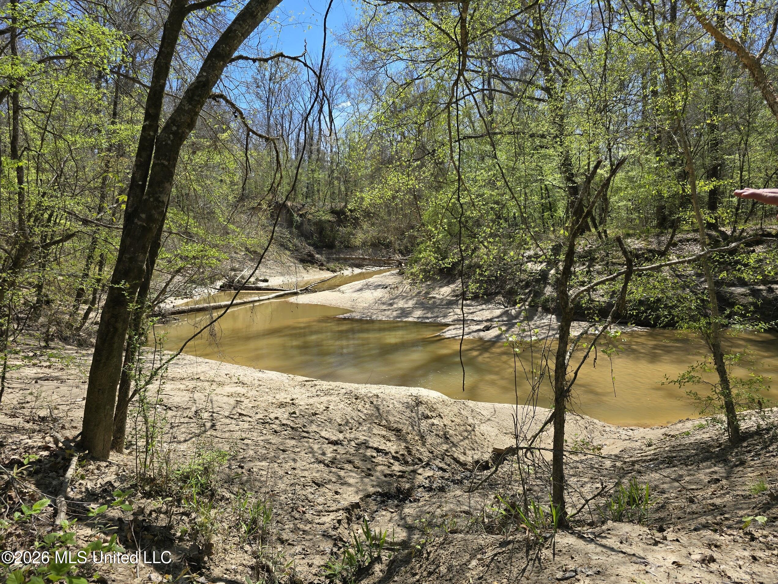 5582 White Apple Road Roxie, MS 39661 - Photo 3 of 70 20260321_133409