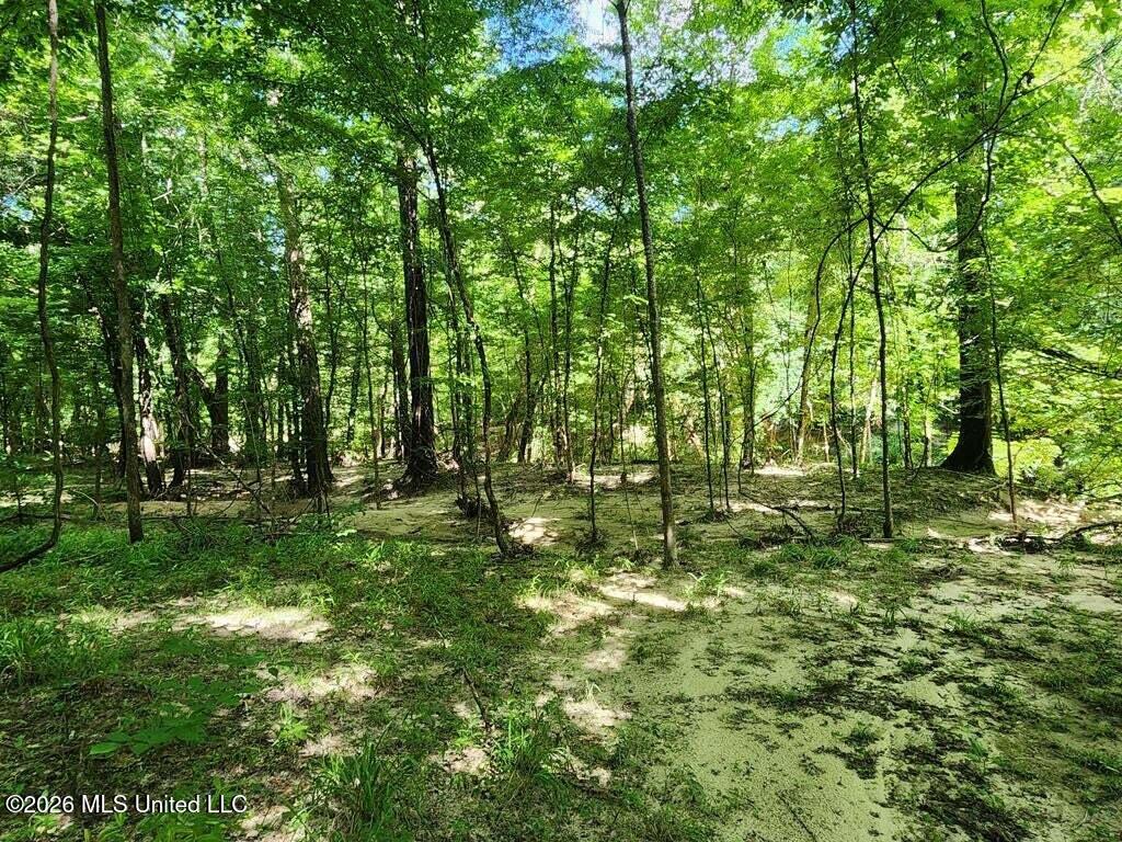 5582 White Apple Road Roxie, MS 39661 - Photo 31 of 70 20250707201721163400000000-o