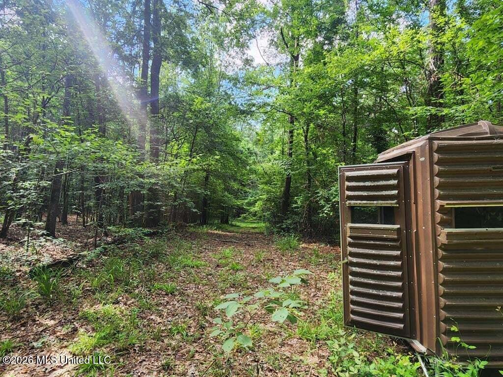 5582 White Apple Road Roxie, MS 39661 - Photo 33 of 70 20250707201722498870000000-o