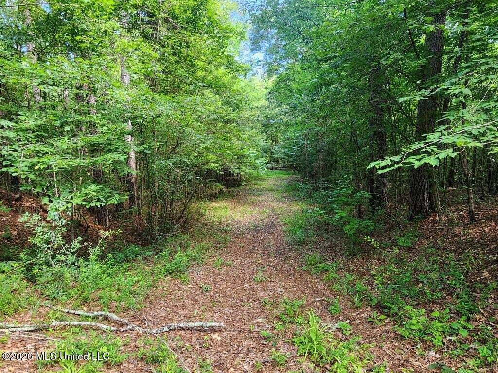 5582 White Apple Road Roxie, MS 39661 - Photo 35 of 70 20250707201722890174000000-o