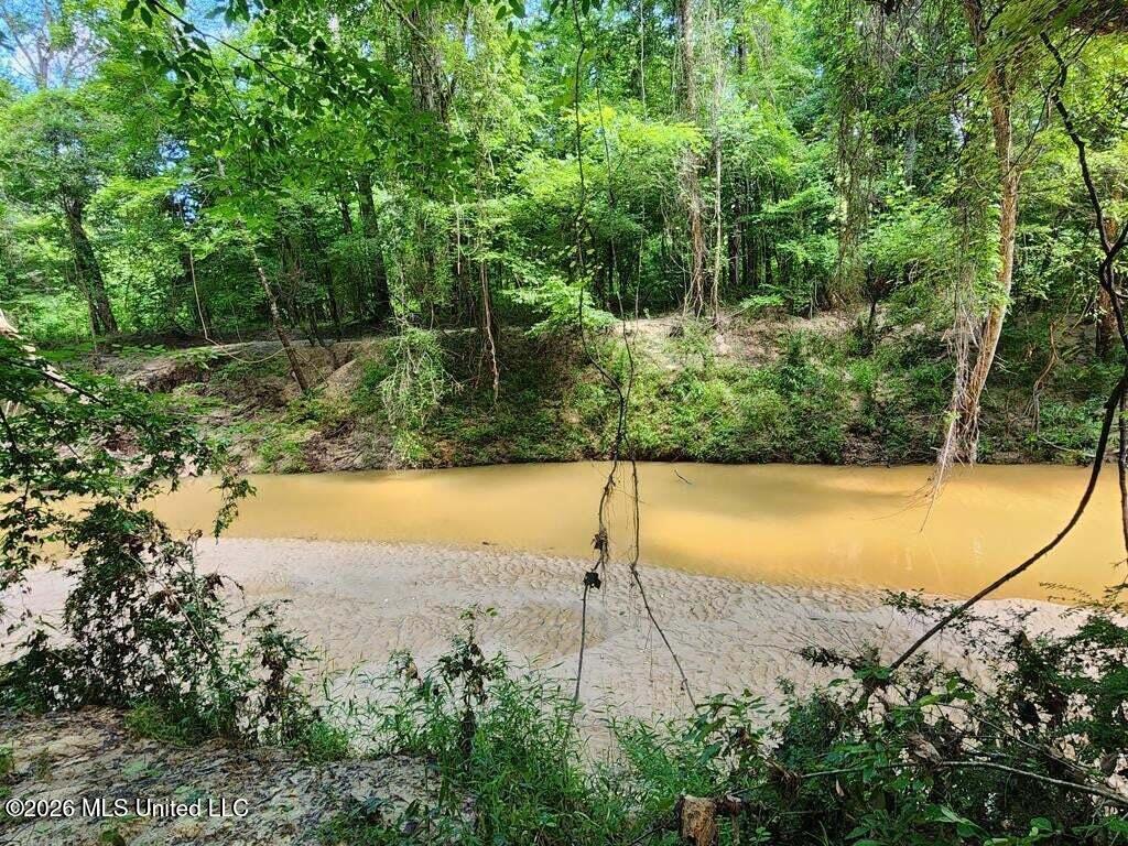 5582 White Apple Road Roxie, MS 39661 - Photo 4 of 70 20250707201703529373000000-o (1)