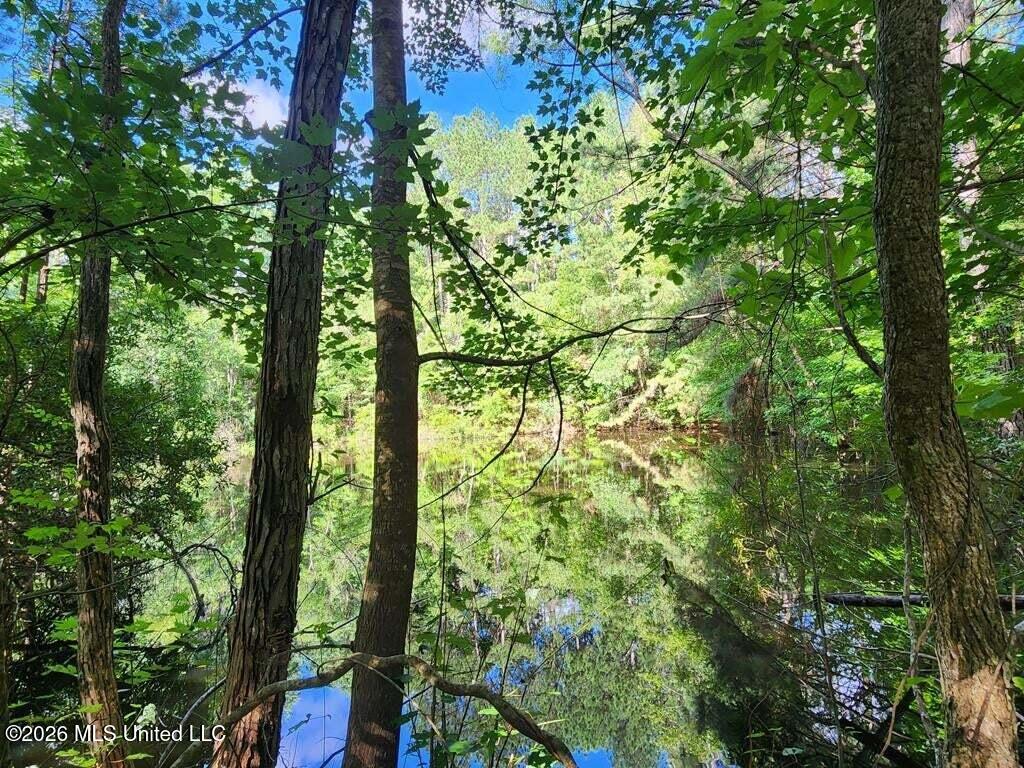 5582 White Apple Road Roxie, MS 39661 - Photo 41 of 70 20250707201726392205000000-o