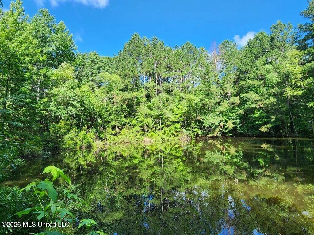 5582 White Apple Road Roxie, MS 39661 - Photo 43 of 70 20250707201727717114000000-o