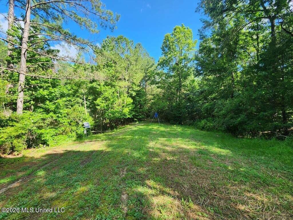 5582 White Apple Road Roxie, MS 39661 - Photo 44 of 70 20250707201728211238000000-o