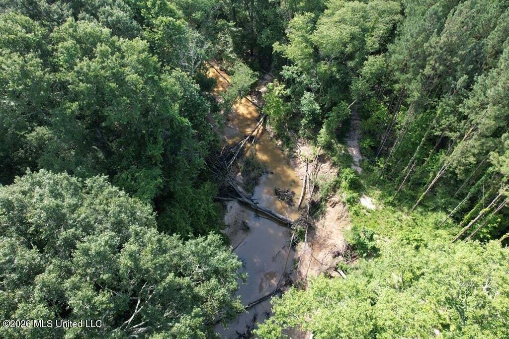 5582 White Apple Road Roxie, MS 39661 - Photo 46 of 70 20250707201731706896000000-o