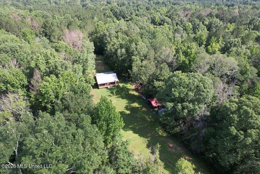 5582 White Apple Road Roxie, MS 39661 - Photo 47 of 70 20250707201732242084000000-o