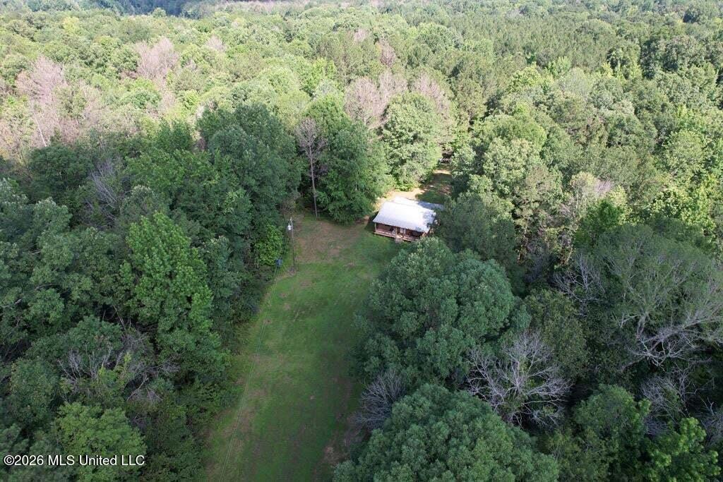 5582 White Apple Road Roxie, MS 39661 - Photo 48 of 70 20250707201732735214000000-o