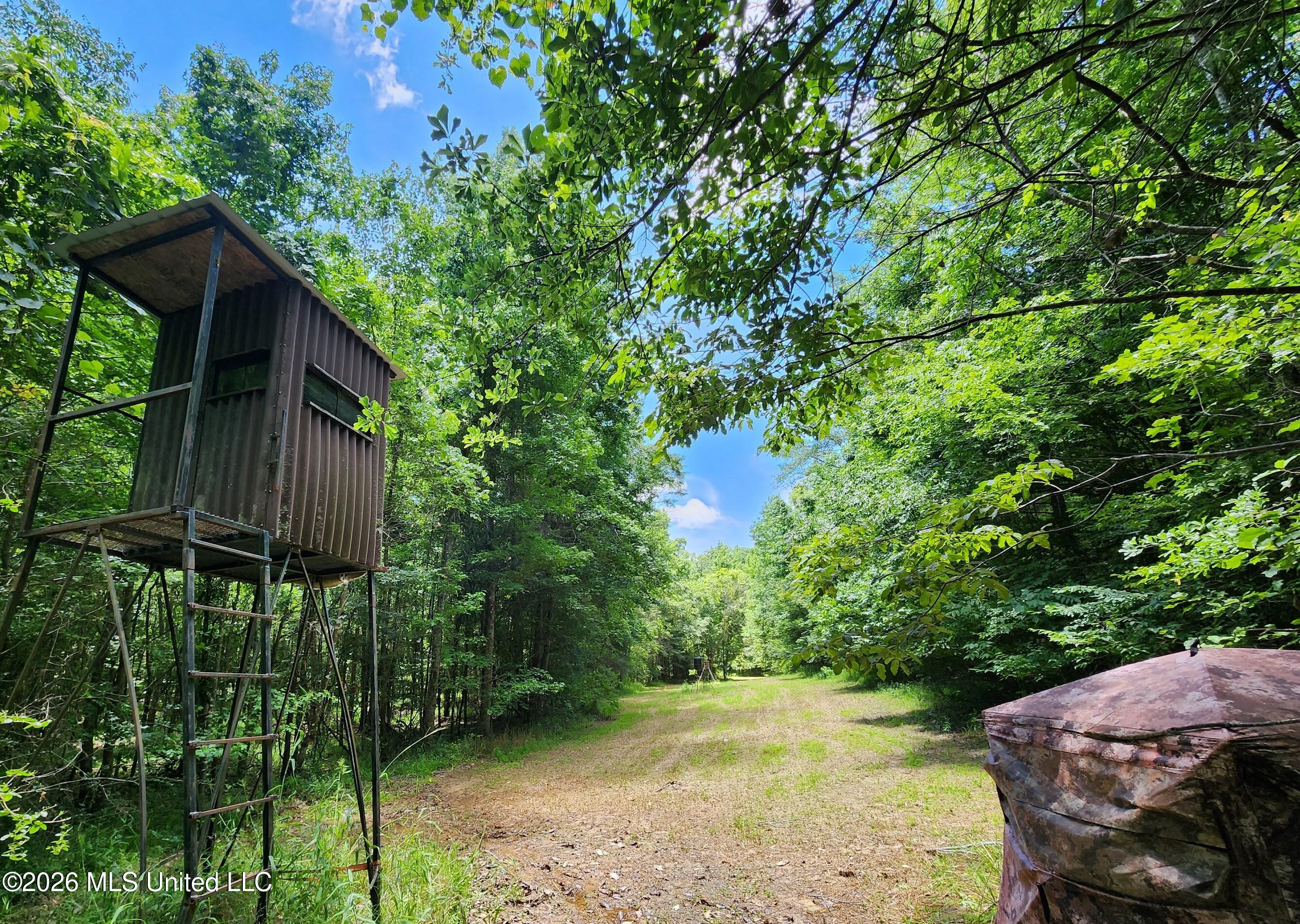 5582 White Apple Road Roxie, MS 39661 - Photo 5 of 70 20240606_120544
