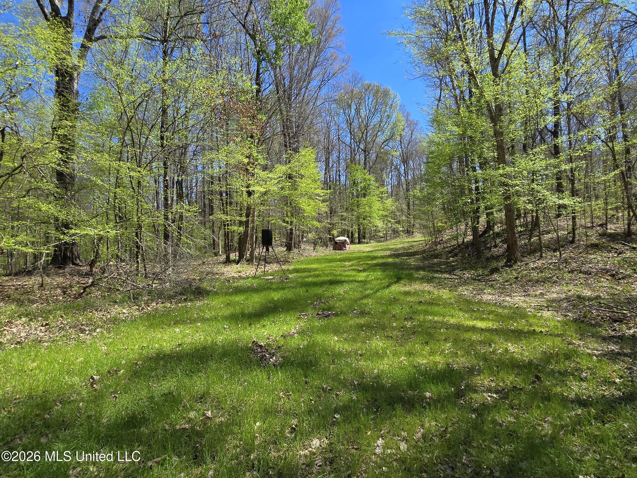 5582 White Apple Road Roxie, MS 39661 - Photo 6 of 70 20260321_133533