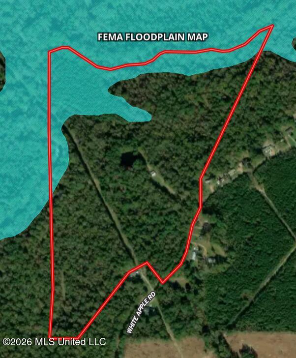 5582 White Apple Road Roxie, MS 39661 - Photo 67 of 70 fema floodplain map