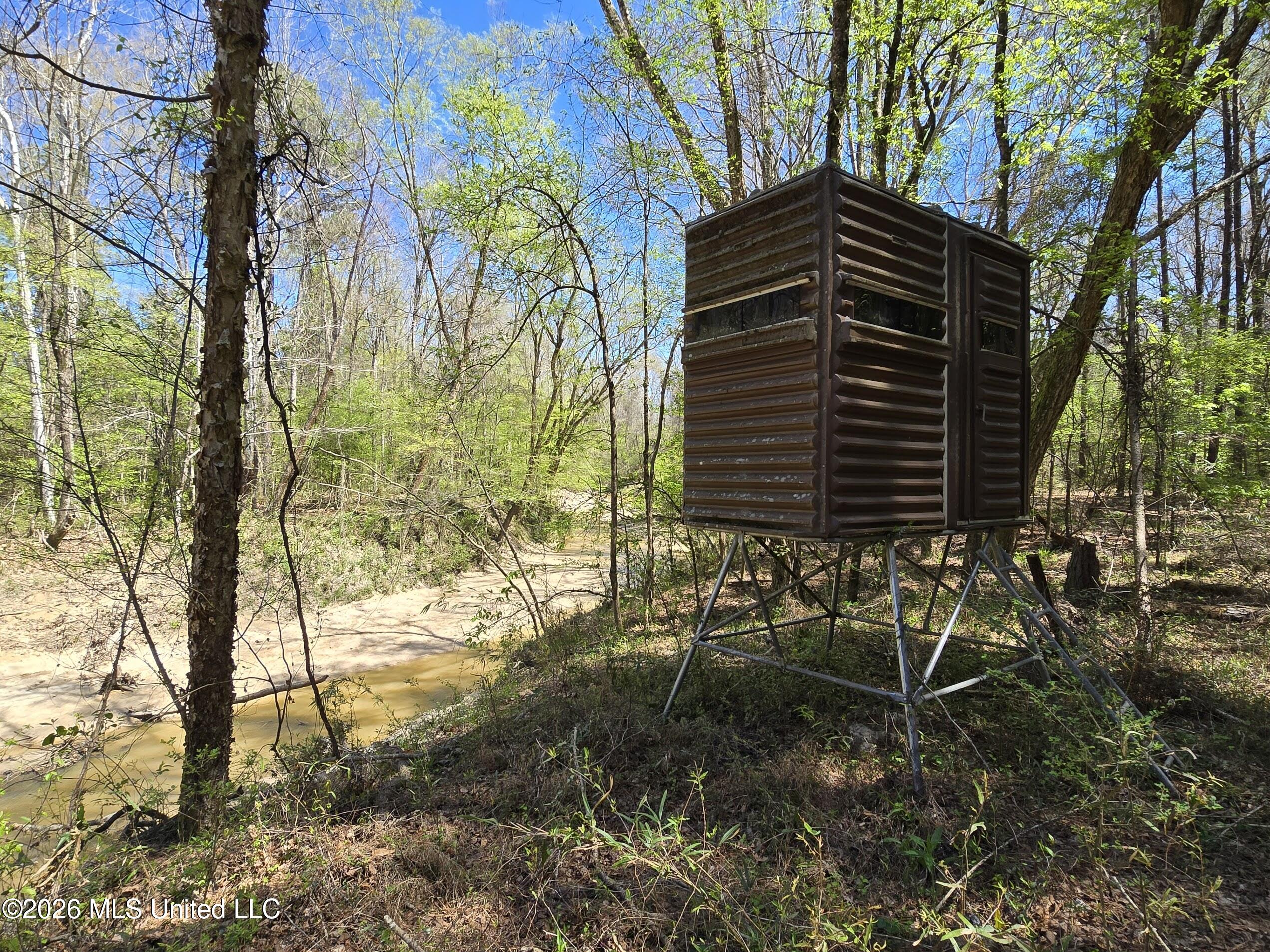 5582 White Apple Road Roxie, MS 39661 - Photo 7 of 70 20260321_133909
