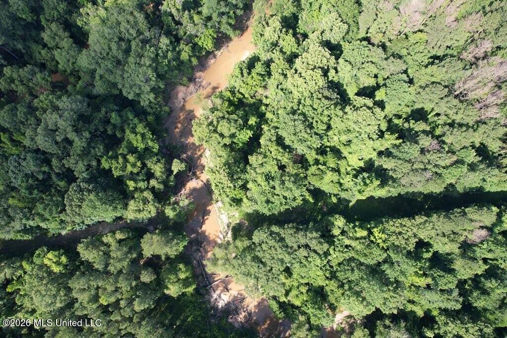 5582 White Apple Road Roxie, MS 39661 - Photo 8 of 70 20250707201705388894000000-o