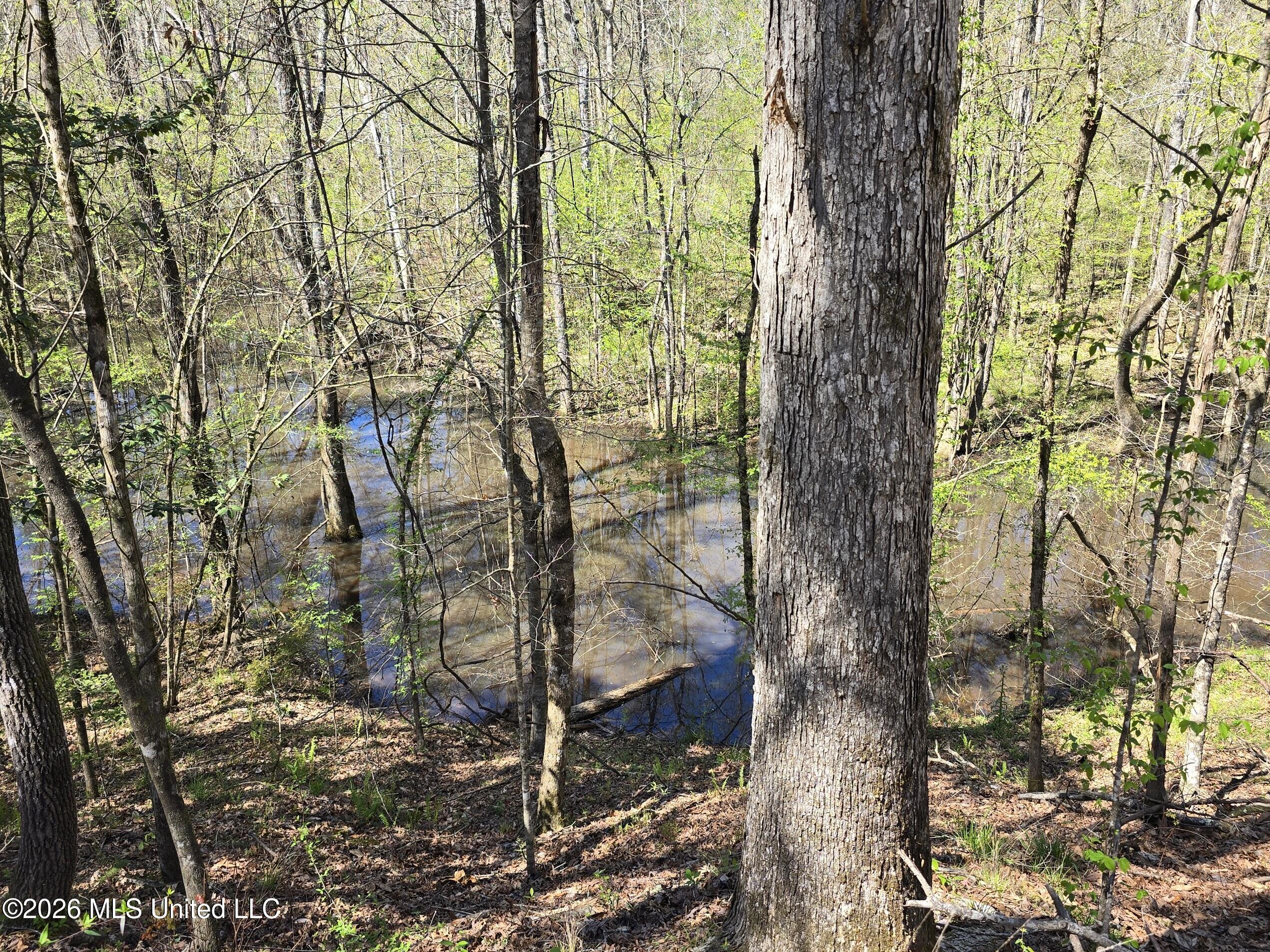 5582 White Apple Road Roxie, MS 39661 - Photo 10 of 70 20260321_134918