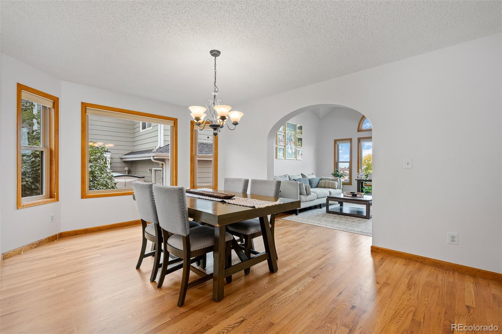 9423 Prairie View Drive Highlands Ranch, CO 80126 - Photo 18 of 45 Gallery Image 18