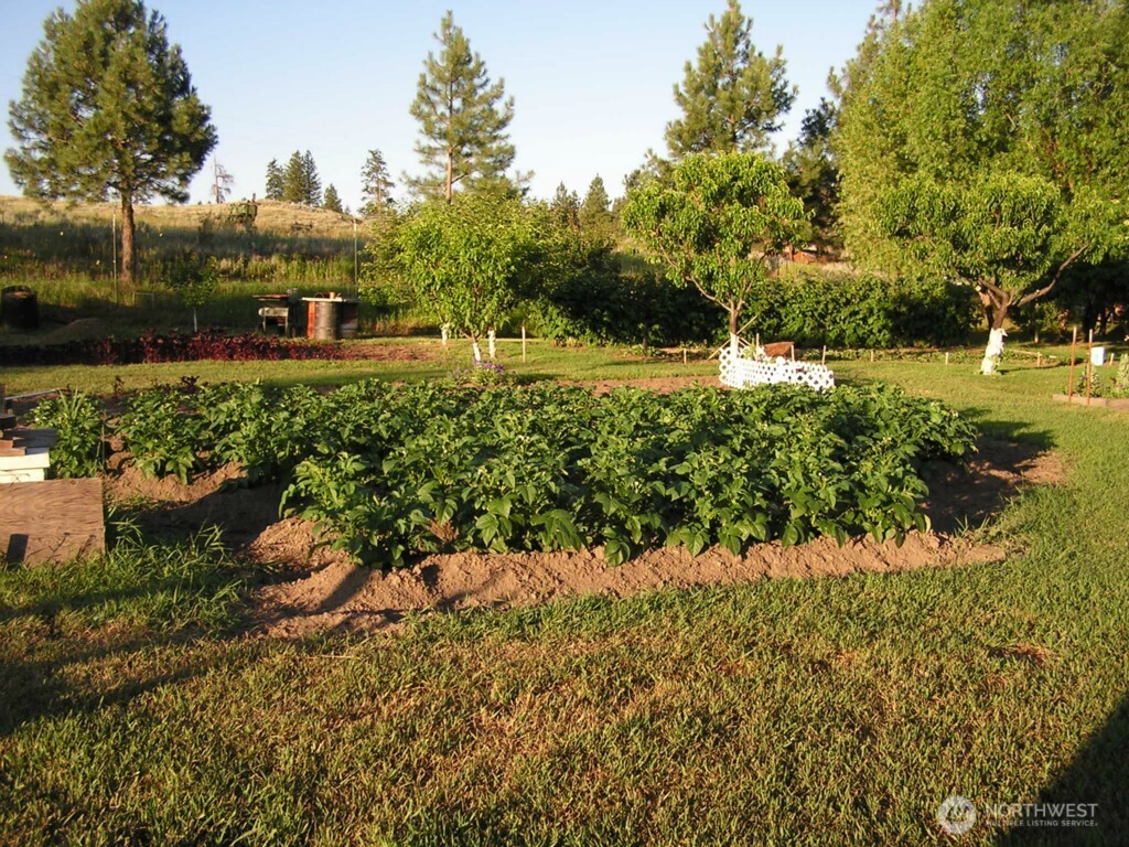 361 Rehmke Road Tonasket, WA 98855 - Photo 4 of 17 Gallery Image 4