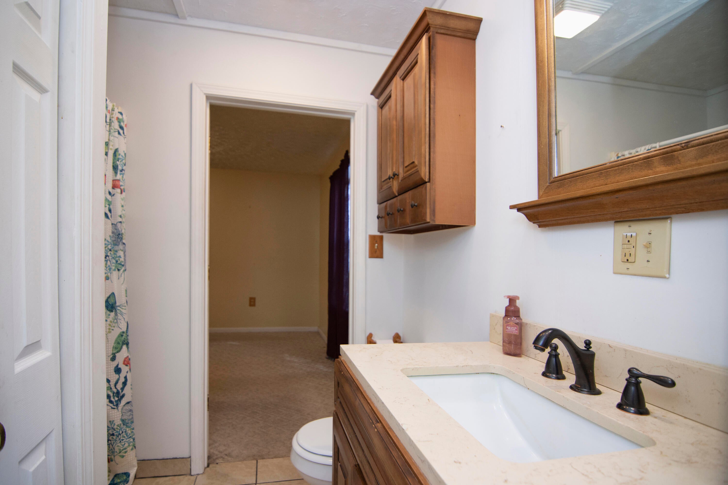 1674 Snake Run Road Alderson, WV 24910 - Photo 20 of 65 Gallery Image 20