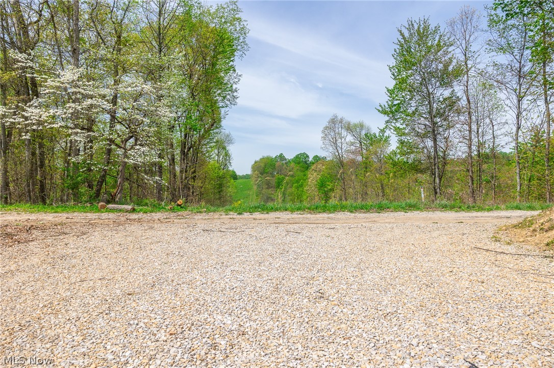 6268 Kings Ridge Road Newcomerstown, OH 43832 - Photo 11 of 46