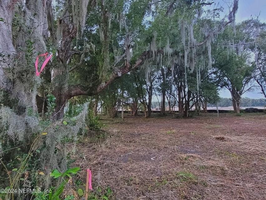 1250 Huntington Road Crescent City, FL 32112 - Photo 4 of 16