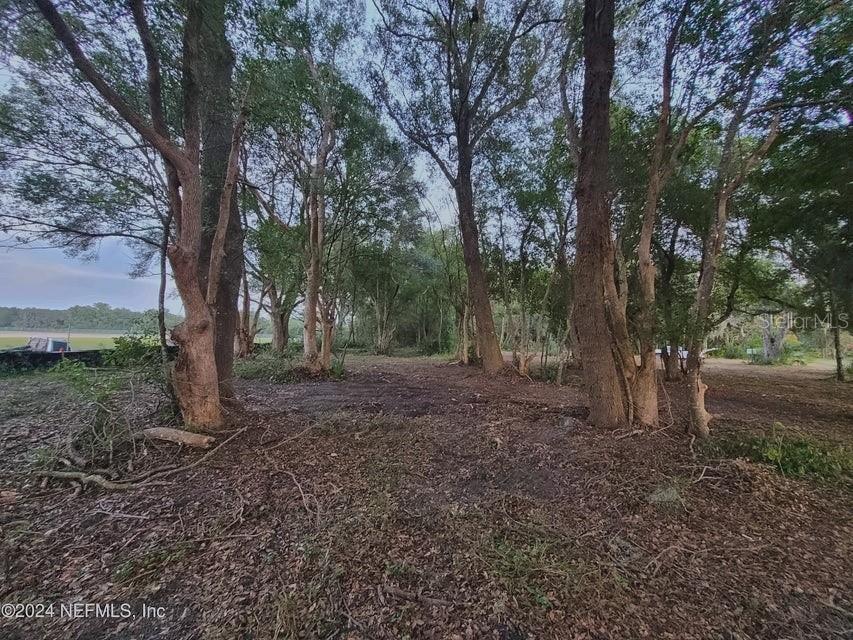 1250 Huntington Road Crescent City, FL 32112 - Photo 9 of 16