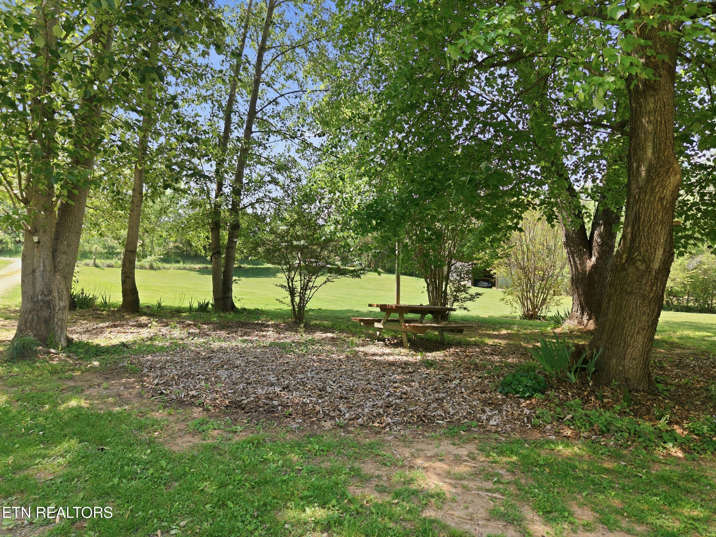 95 Lee Shirley Road Greenback, TN 37742 - Photo 15 of 54 95_Lee_Shirley_Rd_0015 (1)