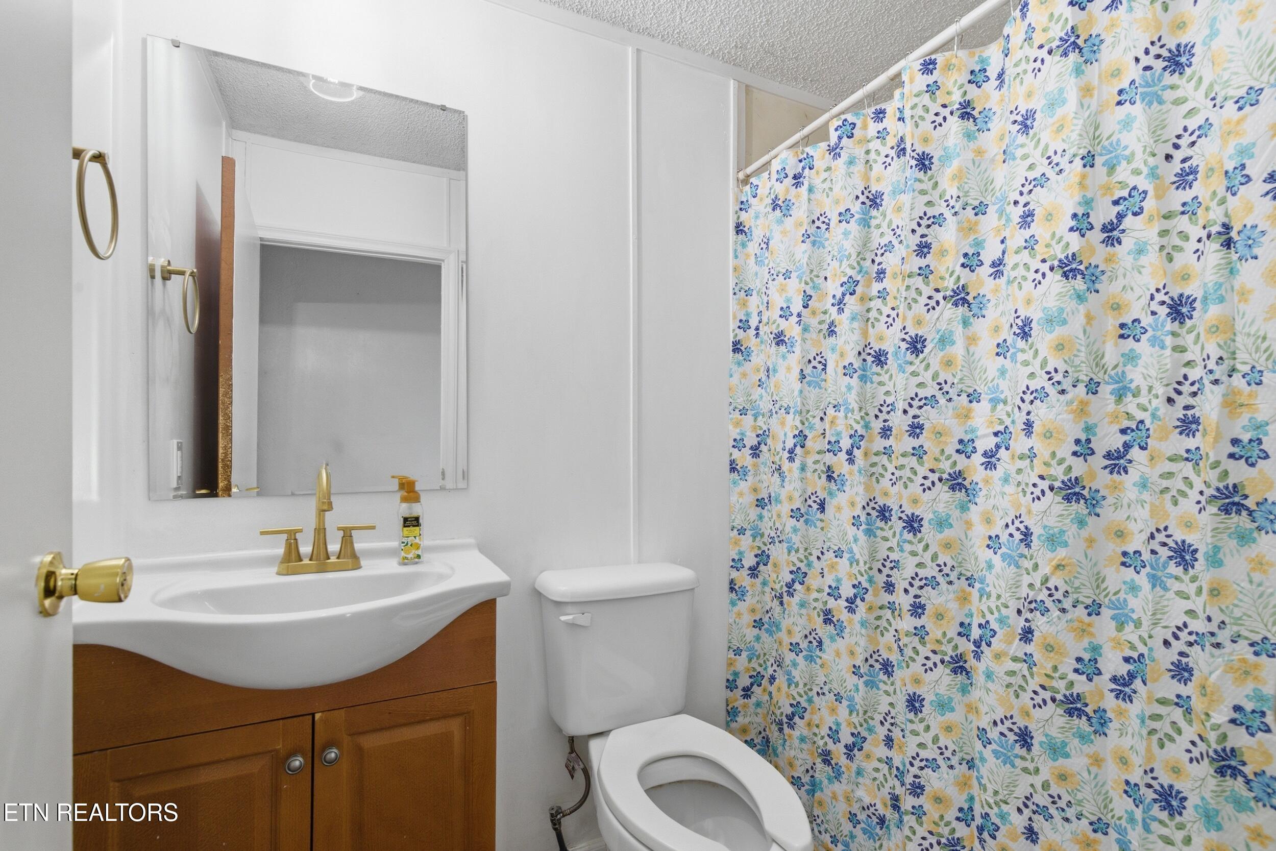 95 Lee Shirley Road Greenback, TN 37742 - Photo 46 of 54 95_Lee_Shirley_Rd_0077