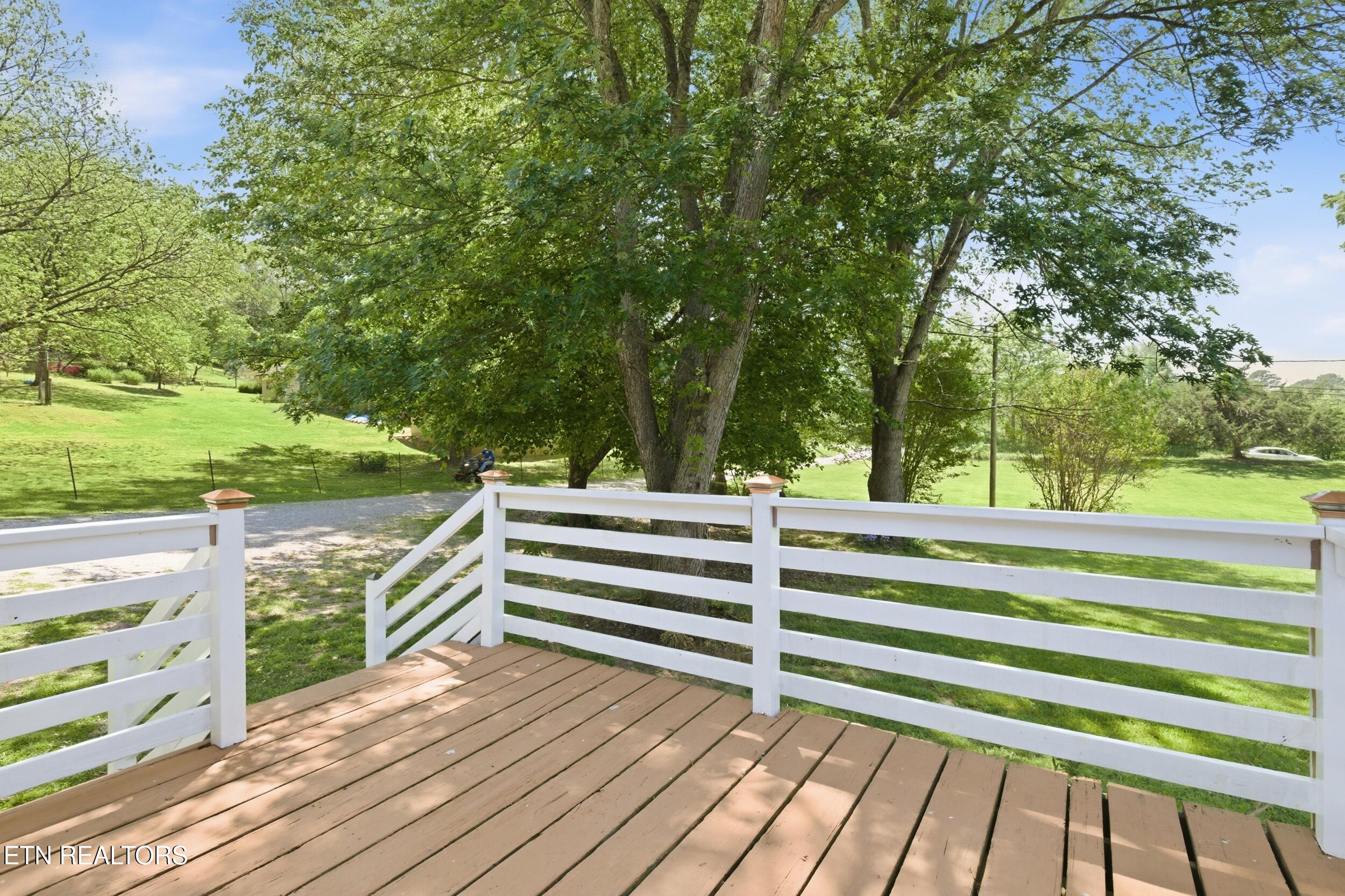 95 Lee Shirley Road Greenback, TN 37742 - Photo 6 of 54 95_Lee_Shirley_Rd_0006