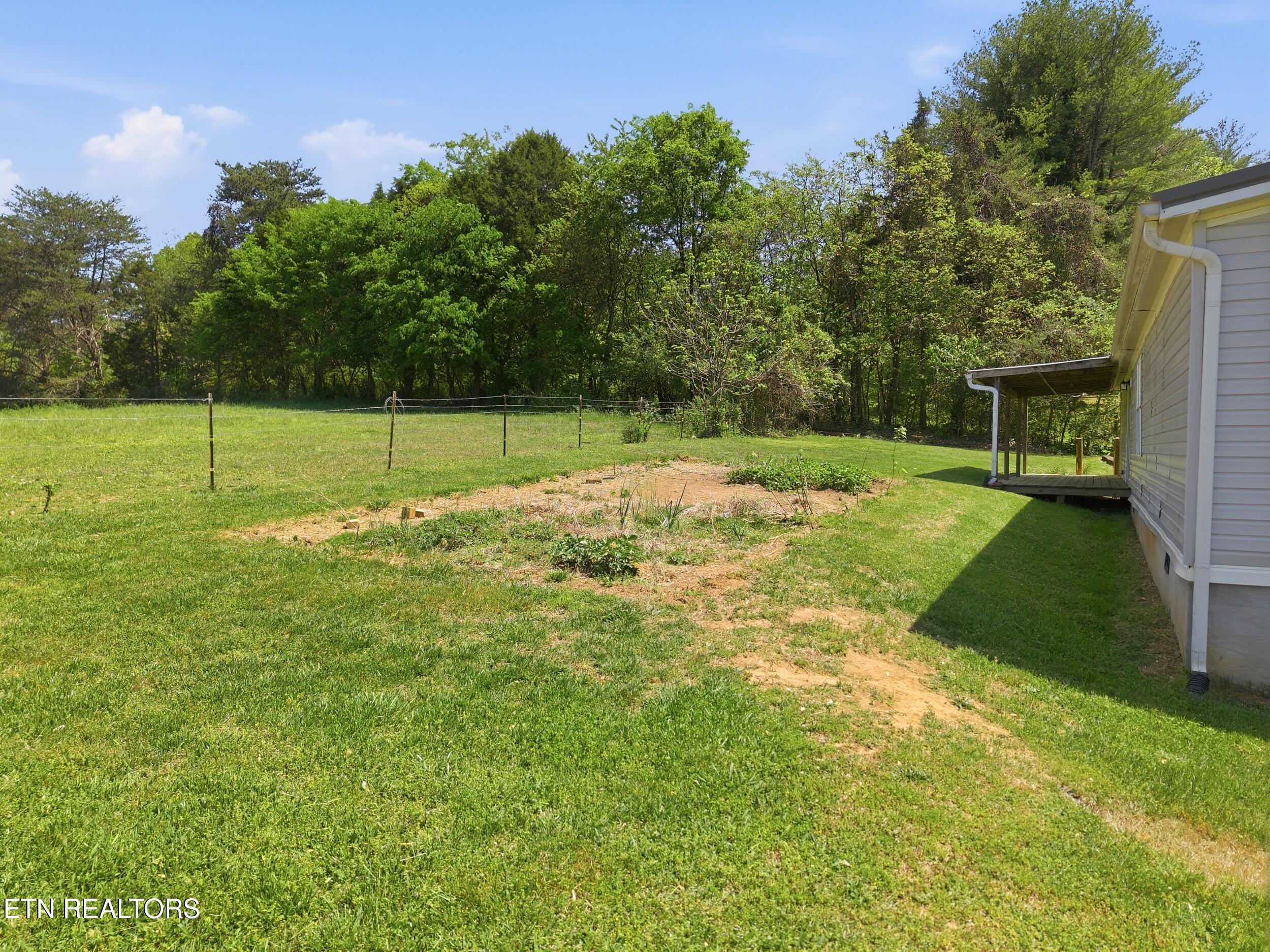 95 Lee Shirley Road Greenback, TN 37742 - Photo 10 of 54 95_Lee_Shirley_Rd_0010