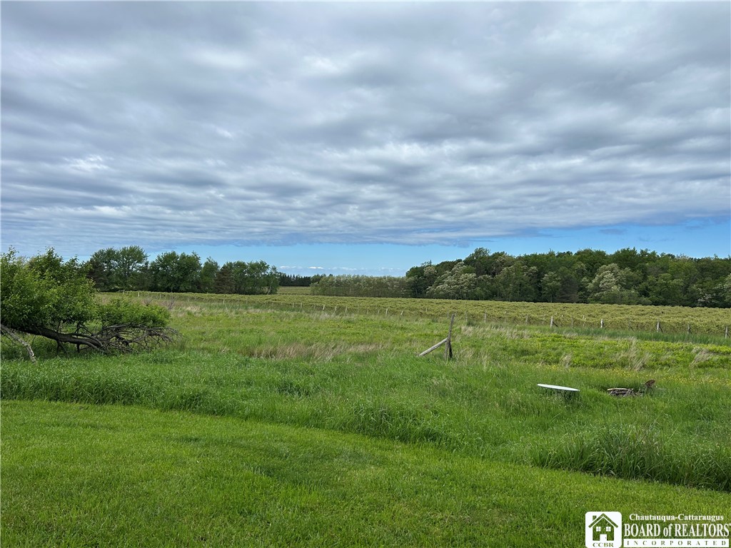 5192 Webster Road Pomfret, NY 14063 - Photo 12 of 19