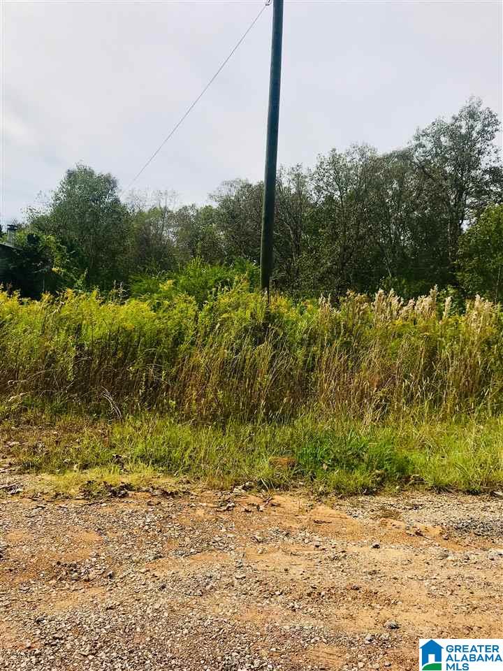 9317 Cedar Hill Road, Unit 4 14 ACRES Warrior, AL 35180 - Photo 1 of 4