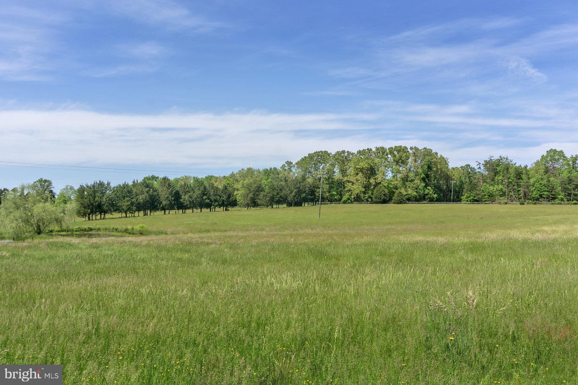 7303 Poindexter Road Louisa, VA 23093 - Photo 103 of 113 Gallery Image 103