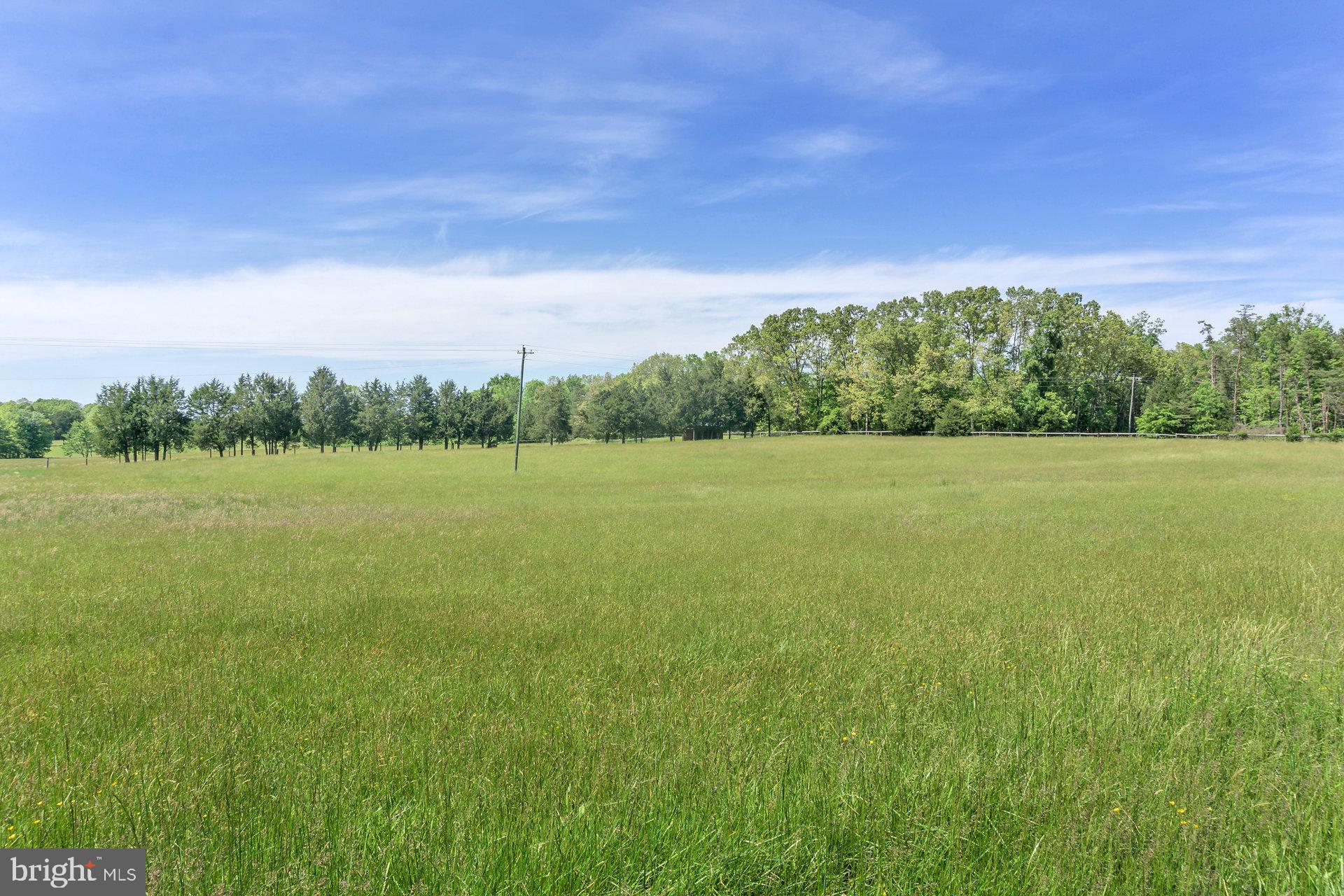 7303 Poindexter Road Louisa, VA 23093 - Photo 104 of 113 Gallery Image 104