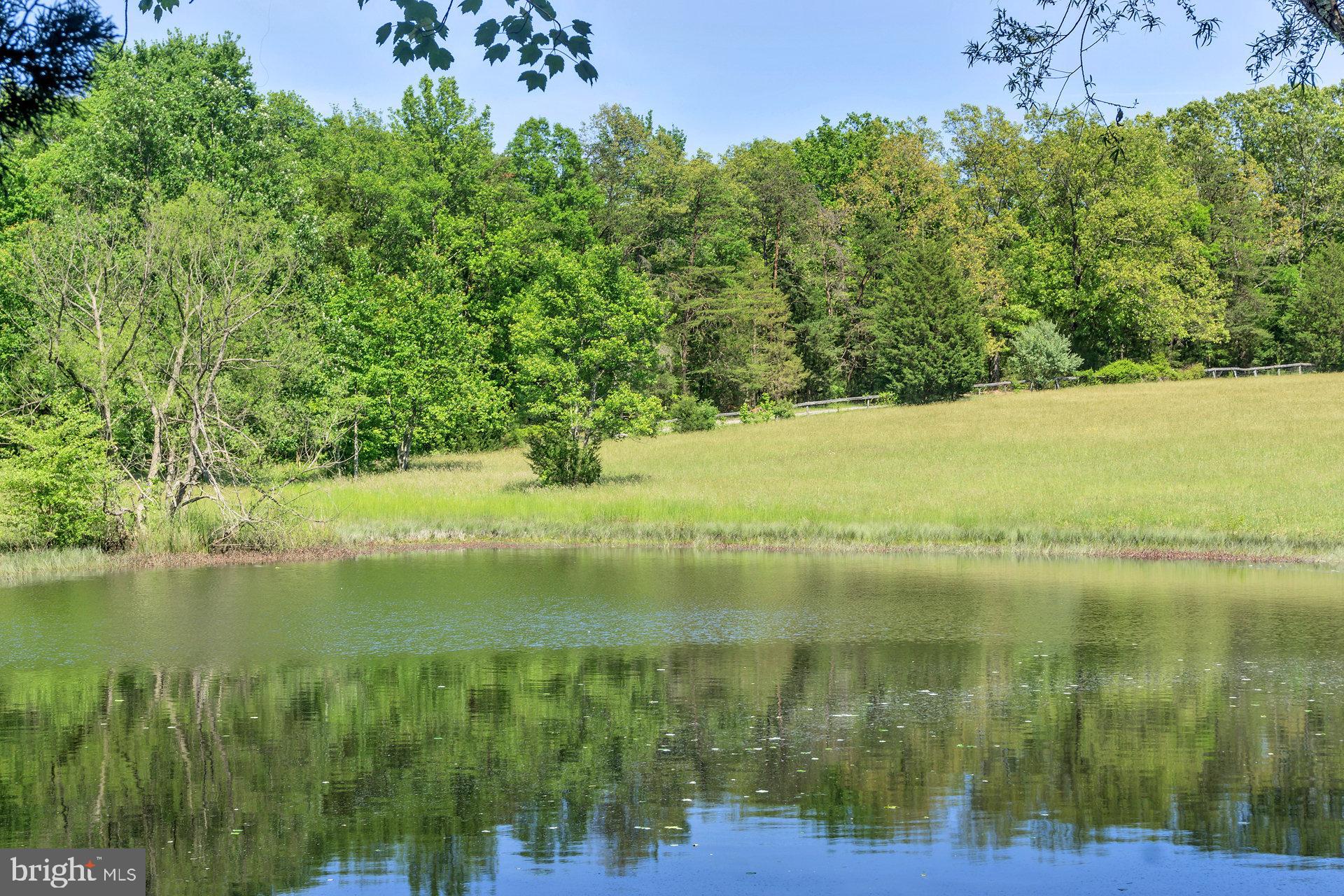 7303 Poindexter Road Louisa, VA 23093 - Photo 111 of 113 Gallery Image 111