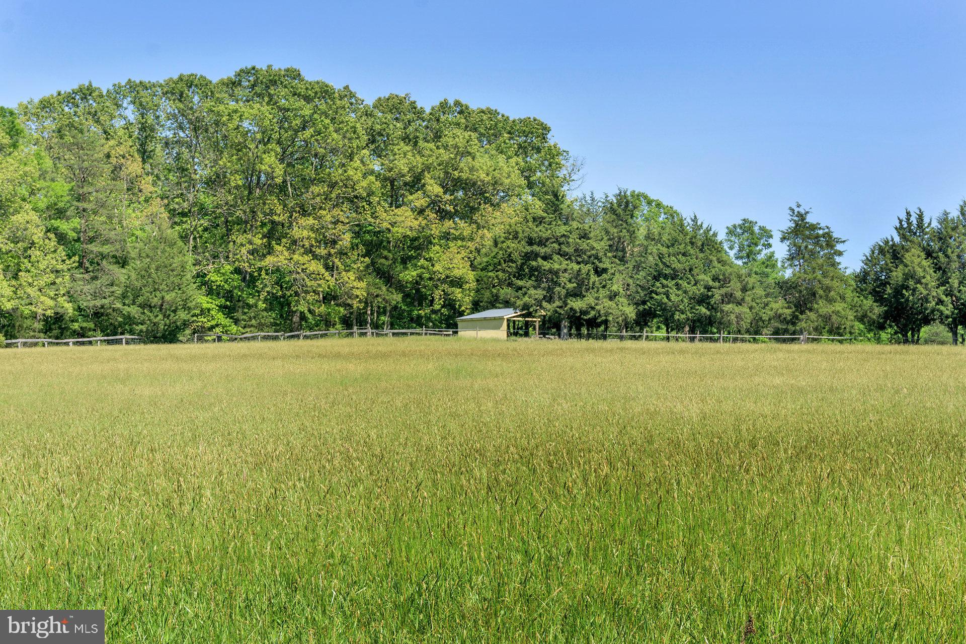 7303 Poindexter Road Louisa, VA 23093 - Photo 112 of 113 Gallery Image 112