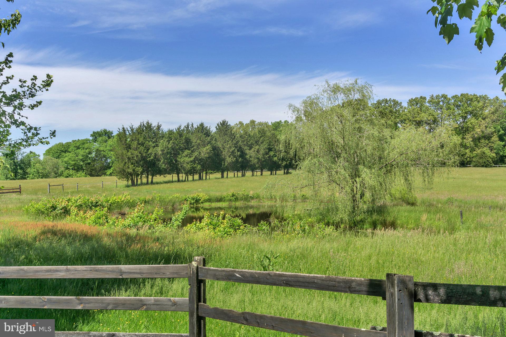 7303 Poindexter Road Louisa, VA 23093 - Photo 49 of 113 Gallery Image 49