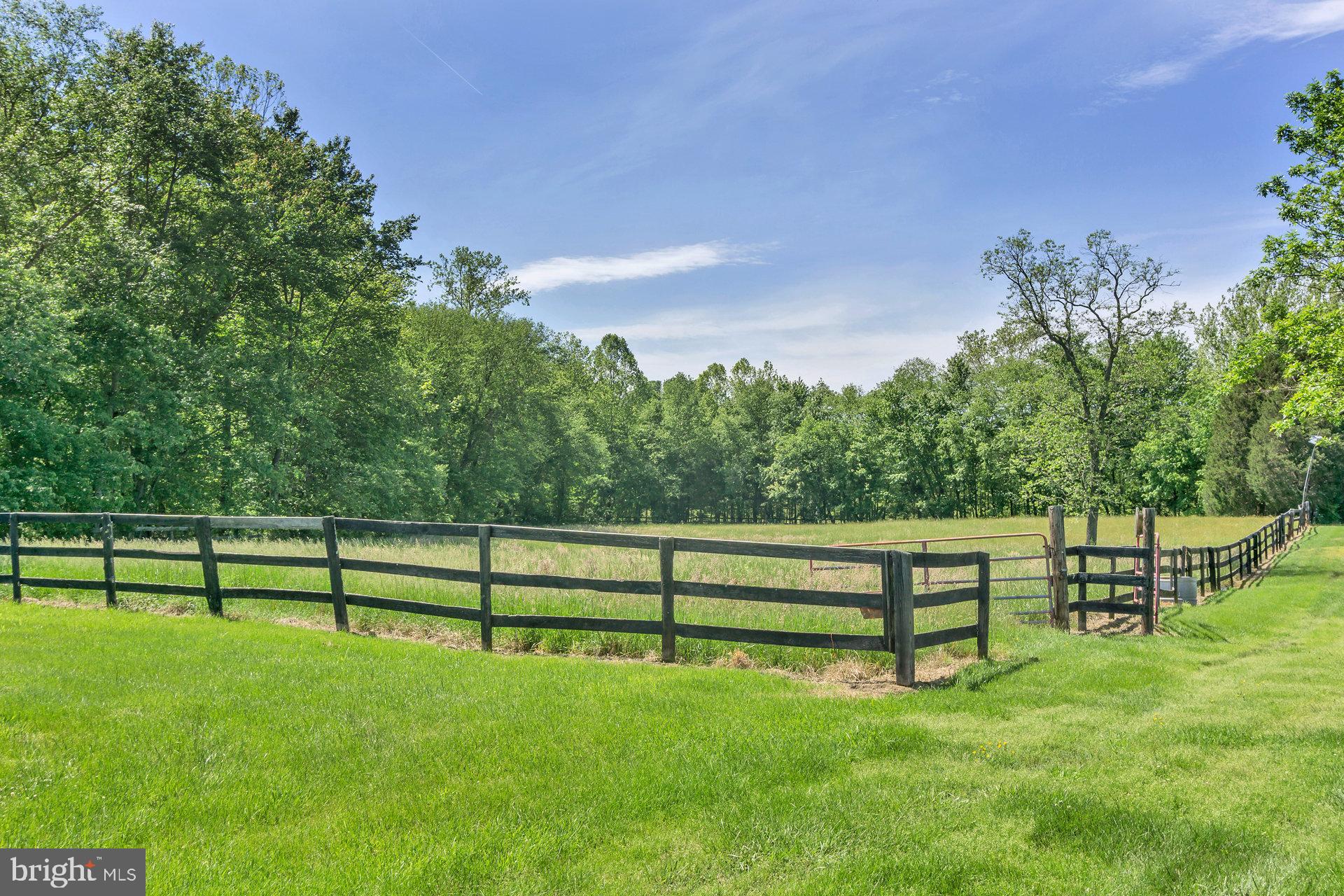 7303 Poindexter Road Louisa, VA 23093 - Photo 50 of 113 Gallery Image 50