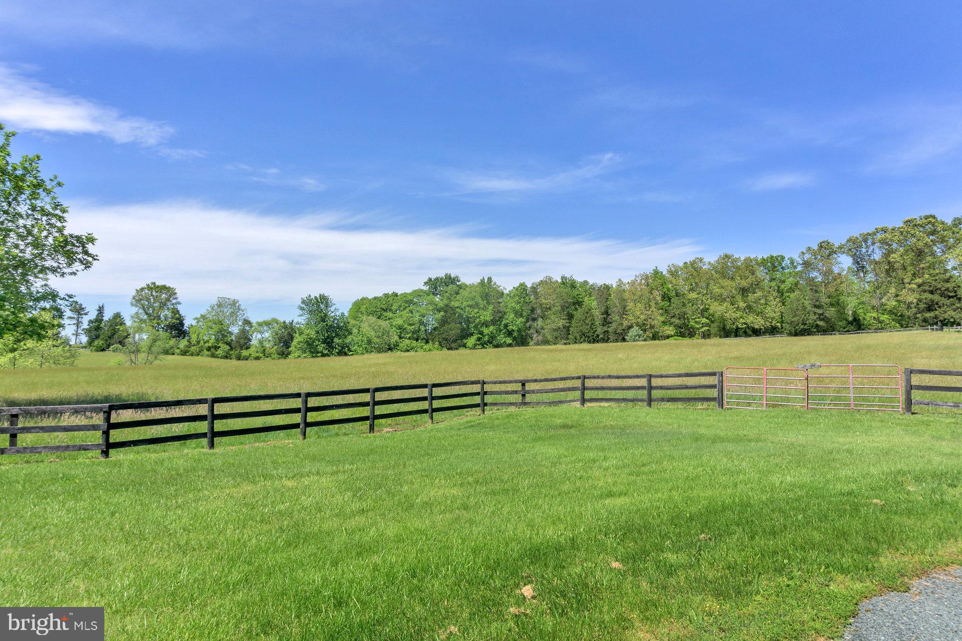7303 Poindexter Road Louisa, VA 23093 - Photo 51 of 113 Gallery Image 51