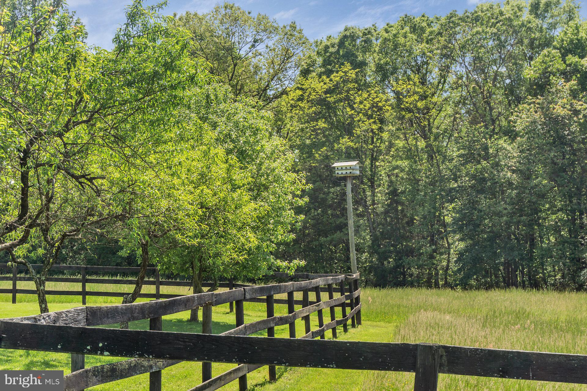 7303 Poindexter Road Louisa, VA 23093 - Photo 53 of 113 Gallery Image 53