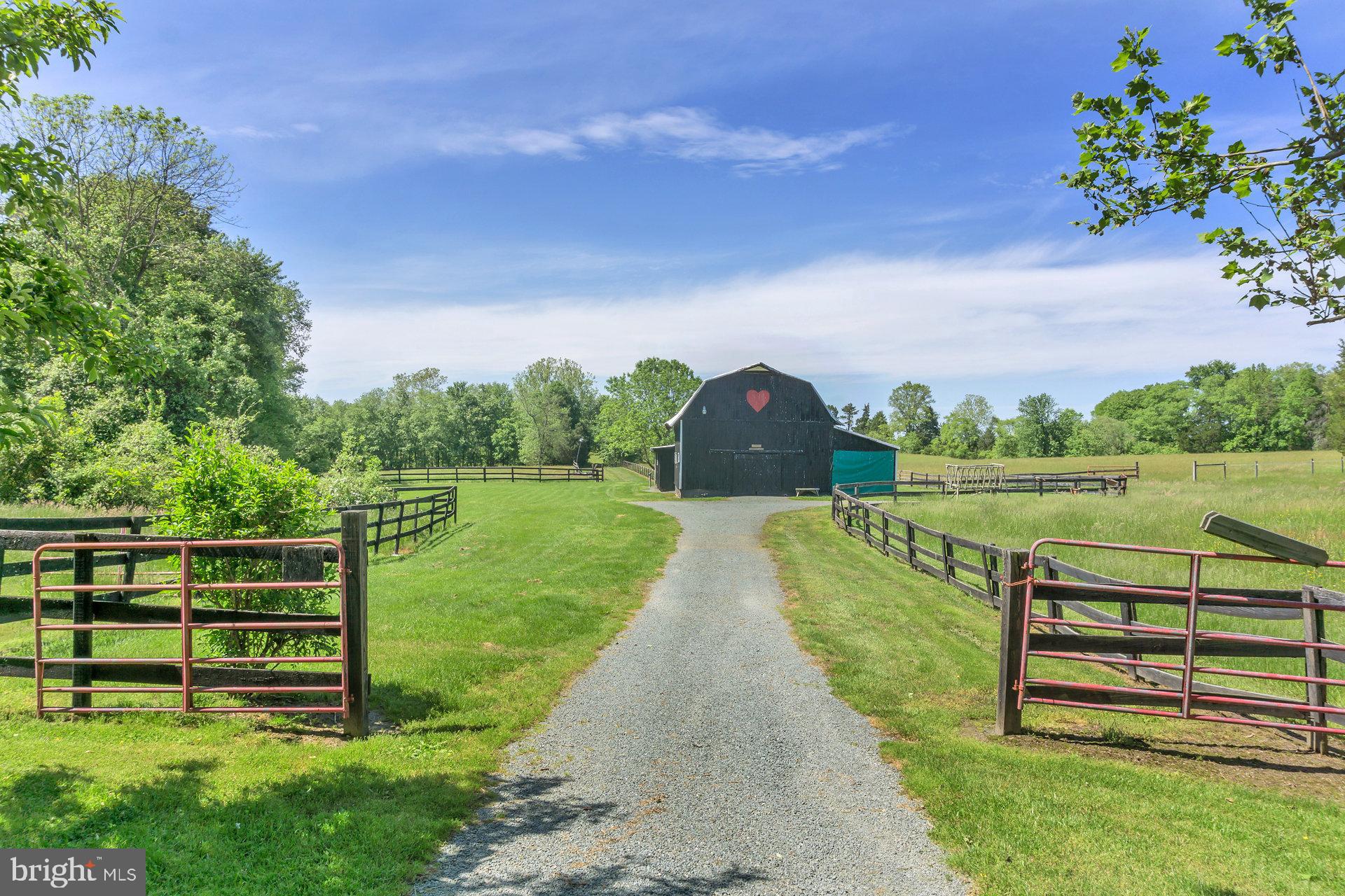 7303 Poindexter Road Louisa, VA 23093 - Photo 65 of 113 Gallery Image 65