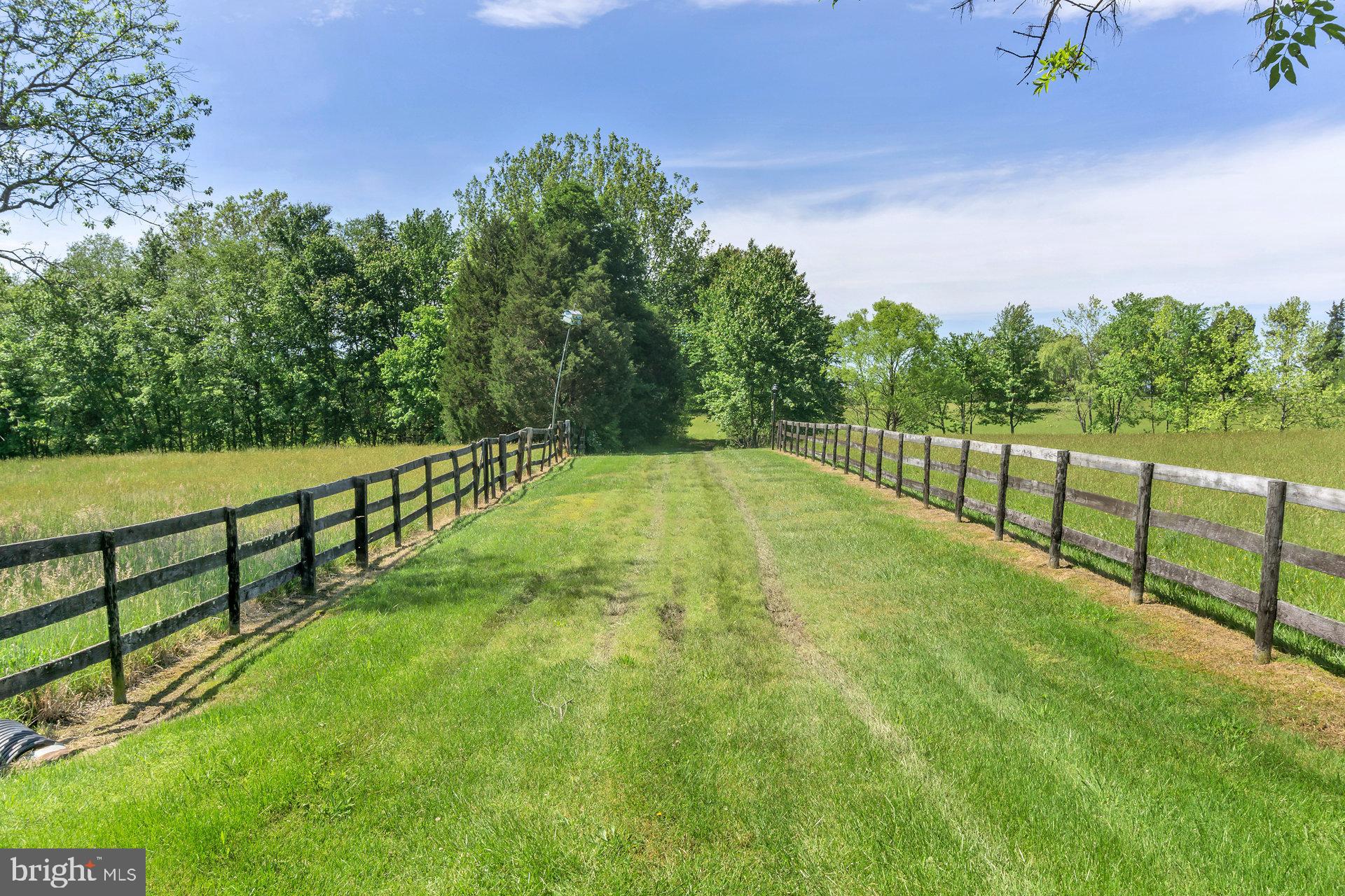 7303 Poindexter Road Louisa, VA 23093 - Photo 75 of 113 Gallery Image 75