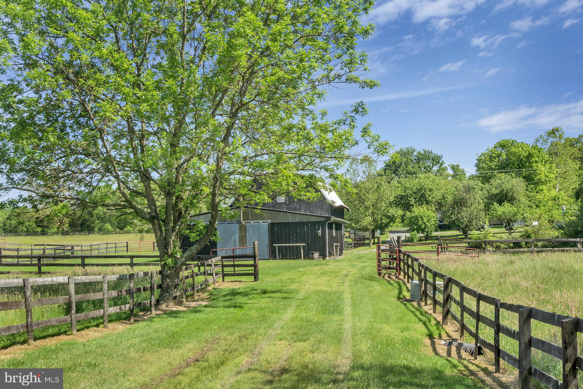 7303 Poindexter Road Louisa, VA 23093 - Photo 76 of 113 Gallery Image 76