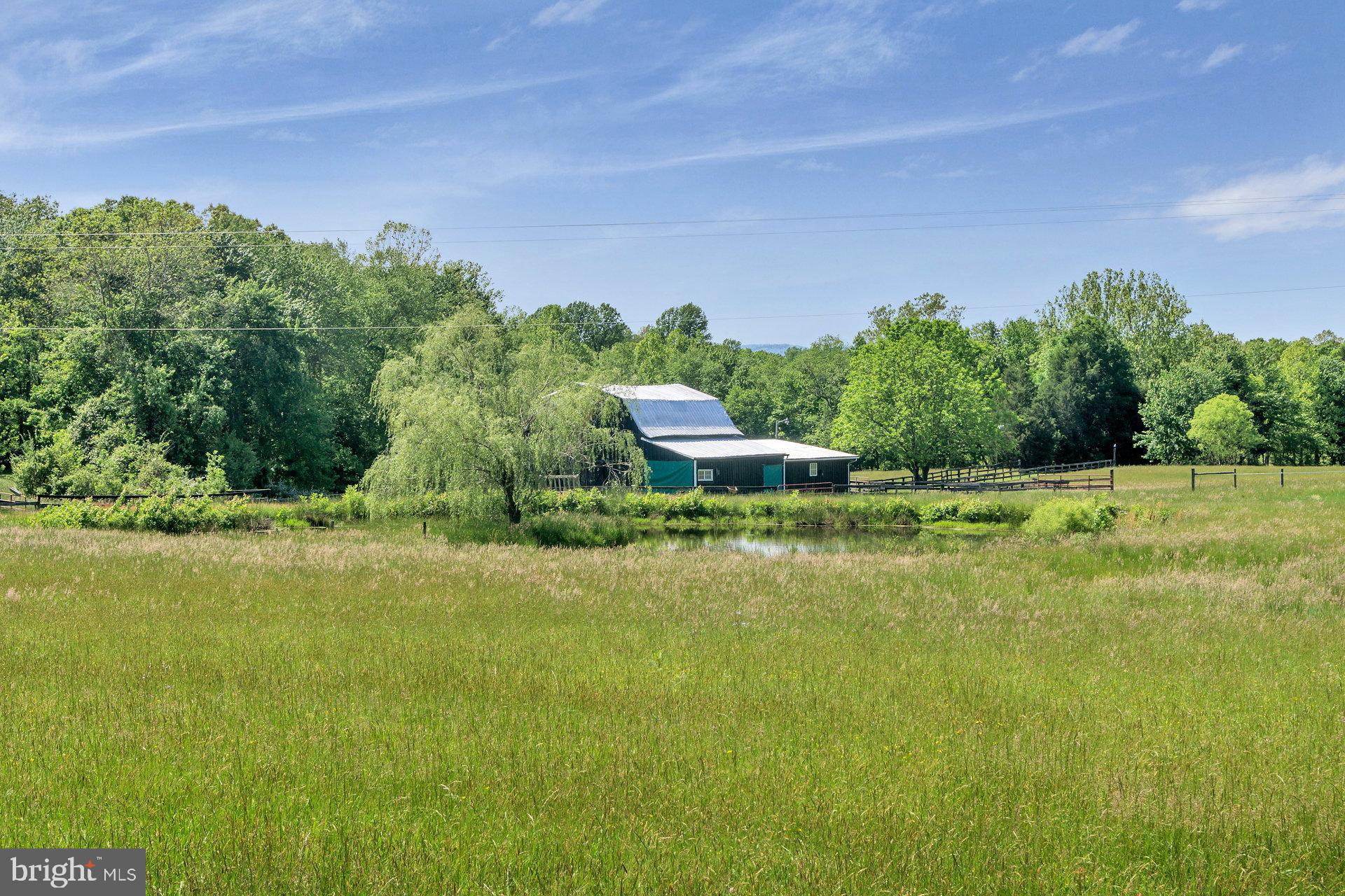 7303 Poindexter Road Louisa, VA 23093 - Photo 88 of 113 Gallery Image 88