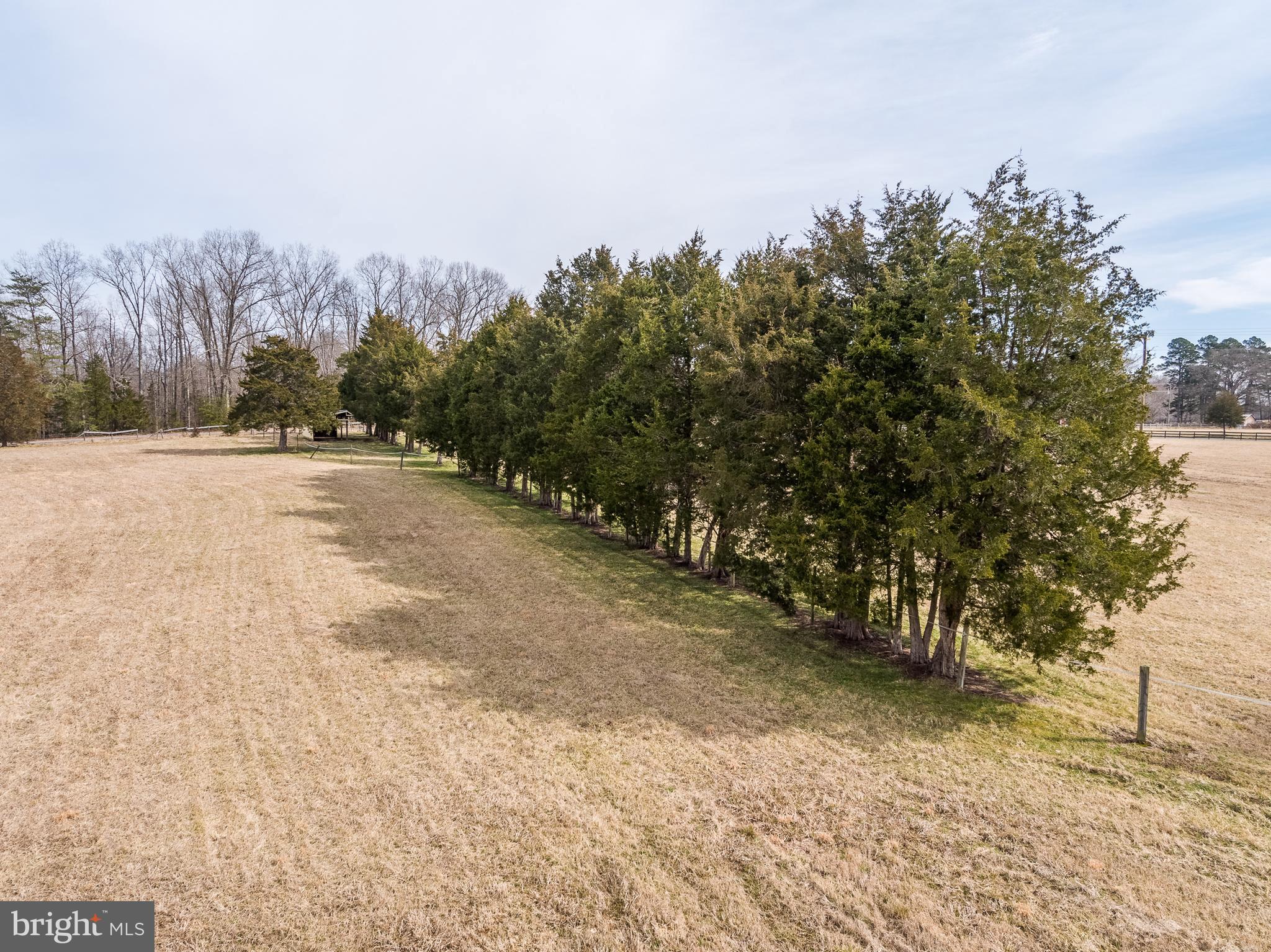 7303 Poindexter Road Louisa, VA 23093 - Photo 95 of 113 Gallery Image 95
