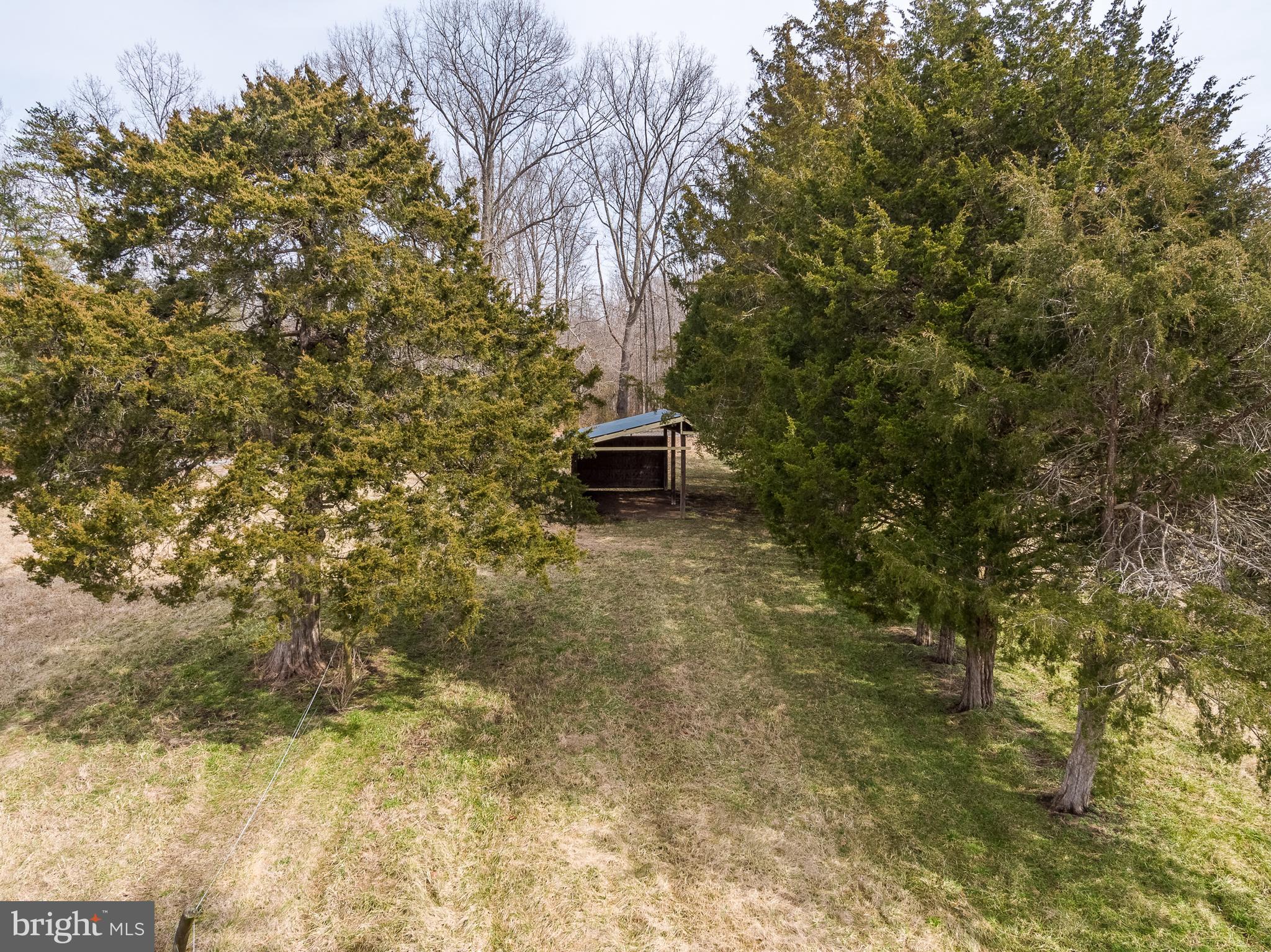 7303 Poindexter Road Louisa, VA 23093 - Photo 96 of 113 Gallery Image 96